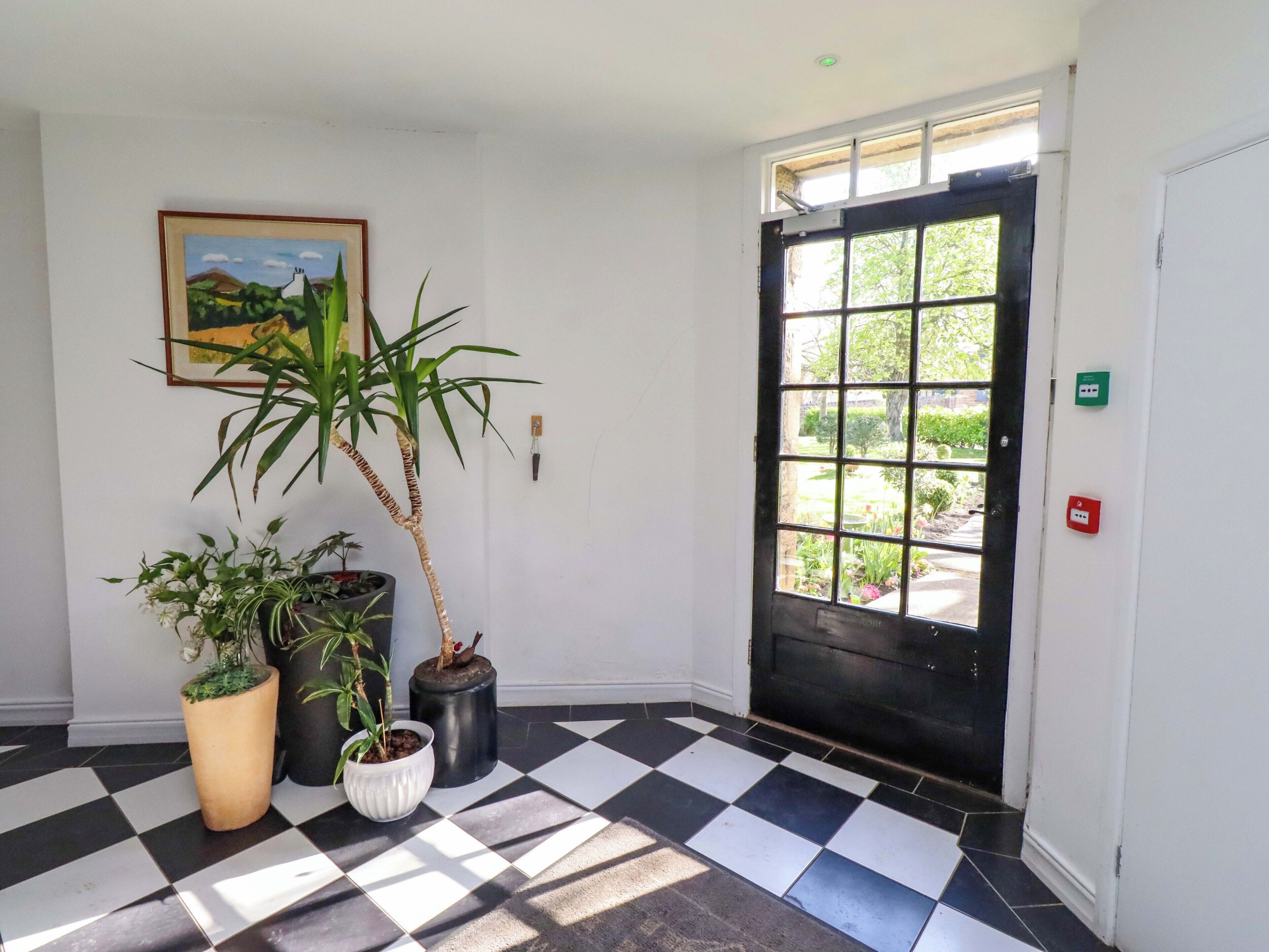 A room with a checkered floor, a black door, and potted plants.