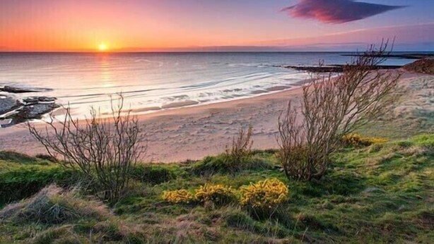 Ein Strand mit Sonnenuntergang, felsigem Ufer und vereinzelter Vegetation.