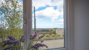 A window with a view of a garden and a distant landscape.