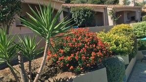 A courtyard with a palm tree, red flowers, and yellow bushes. - VILLA WITH HEATED POOL and ocean view - Margaux Villa (Propriano)