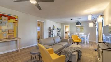 Smart TV, fireplace, books