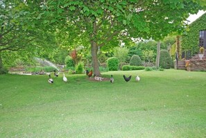Jardines del alojamiento
