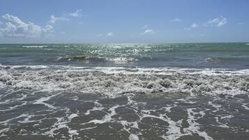 Chaises longues, serviettes de plage