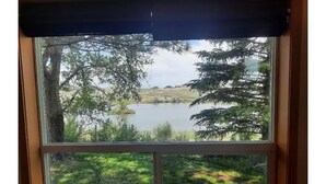 A window with a view of a lake surrounded by trees and grass.