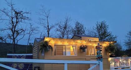 A ZOO for you. Whole house rental at Petting Zoo.