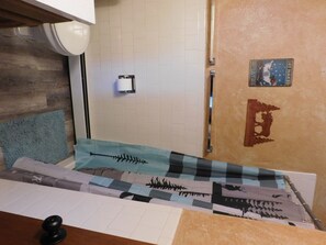 Combined shower/tub - Wildcat Point (Cloudcroft)