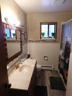 Combined shower/tub, hair dryer, towels