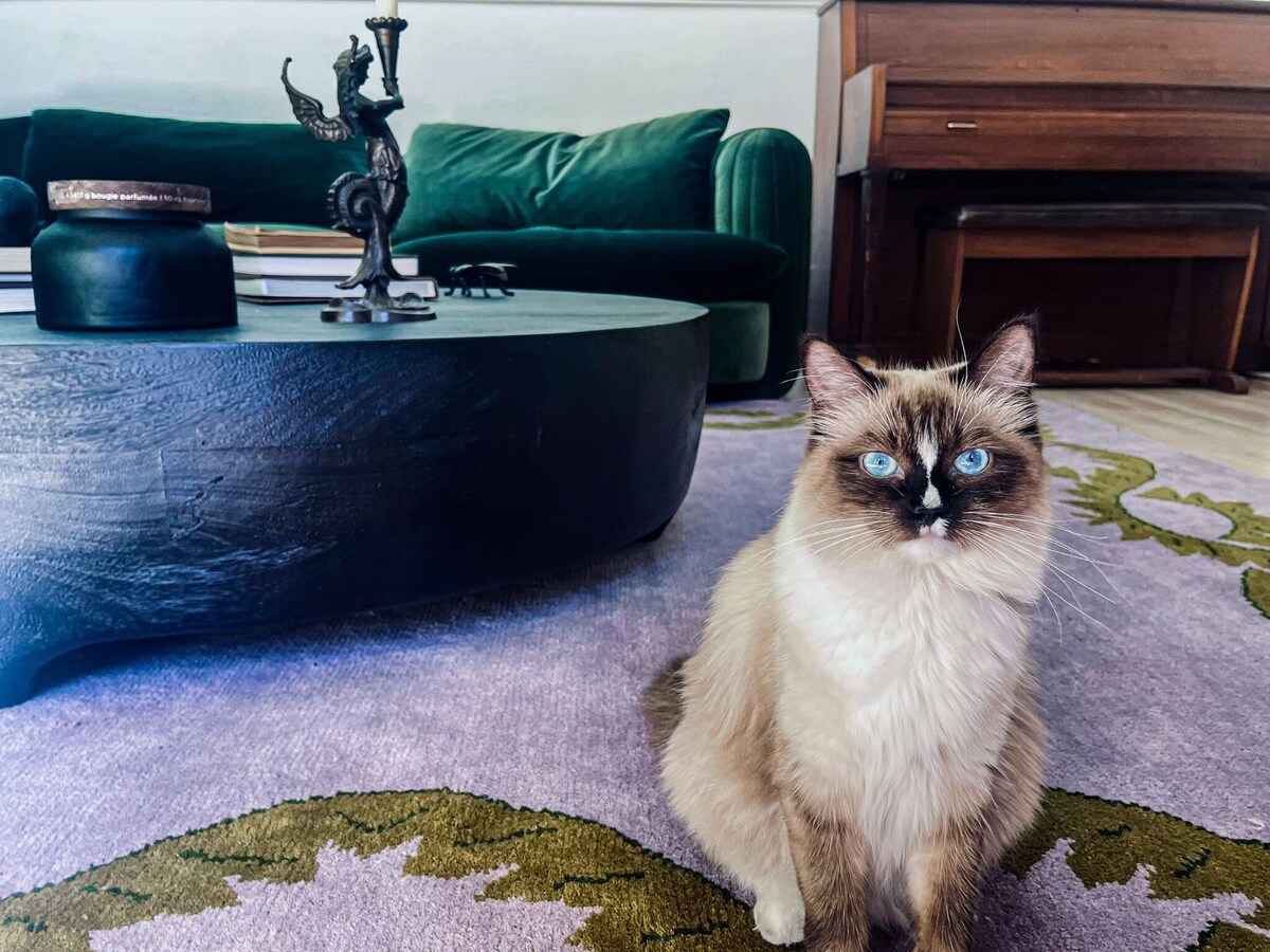 オーナーのプロフィール画像