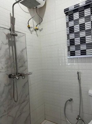 Shower, towels, toilet paper