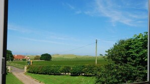 A rural landscape with a clear sky, a dirt path, and green fields.