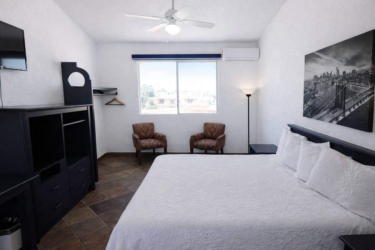 A hotel room with a bed, two armchairs, a TV, a ceiling fan, a window with a view, and a painting on the wall.