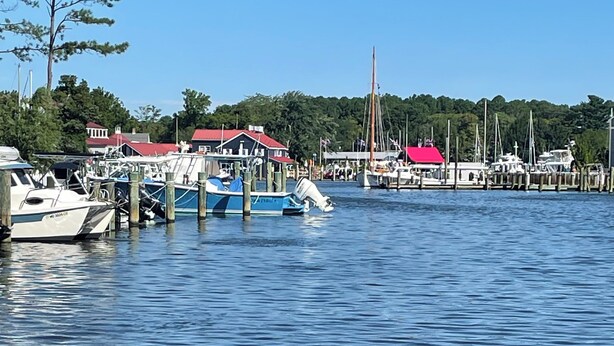 A marina with boats docked, a red-roofed building, and a forested background. - Harbor View Suite
Talbot County License Number STRN-25-58 (Saint Michaels)