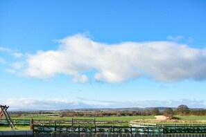 Eine ländliche Landschaft mit blauem Himmel, einem Holzzaun und weitläufigen Feldern.