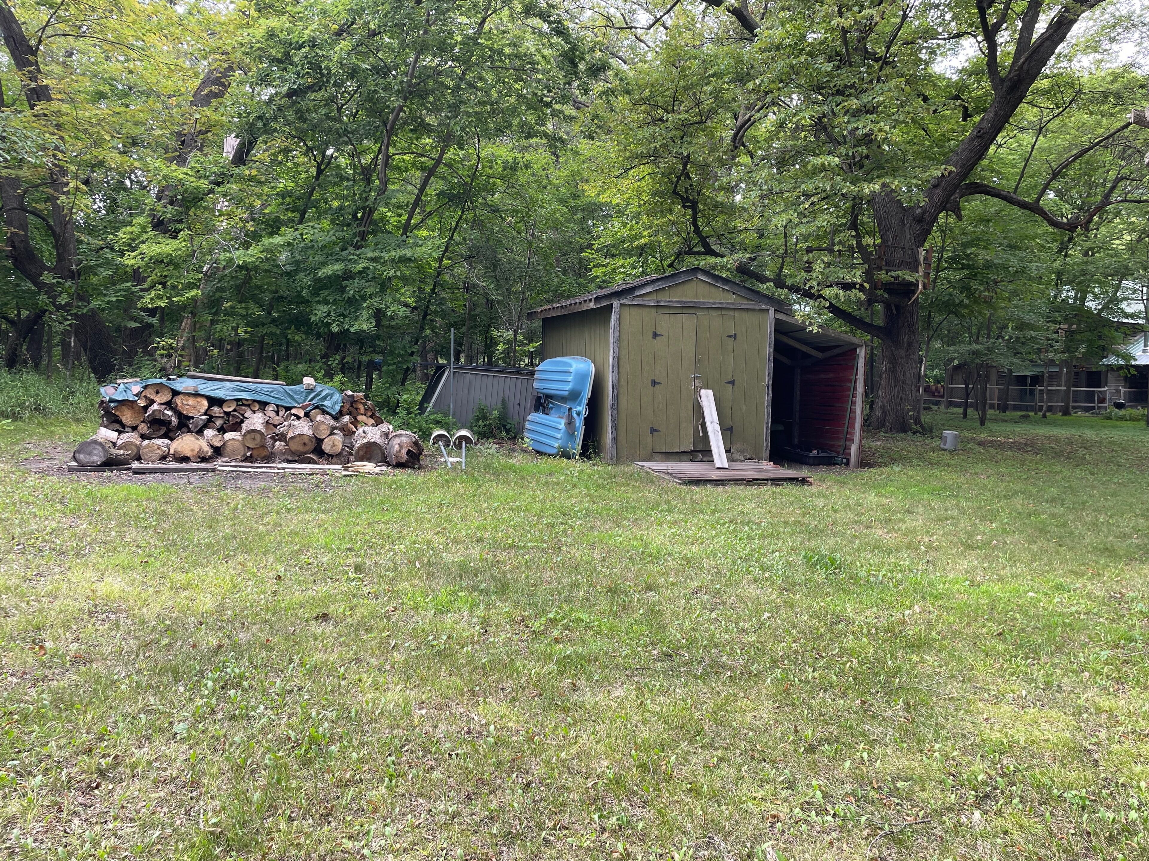 Une zone herbeuse avec une pile de bois de chauffage, un abri de jardin et une bâche bleue.