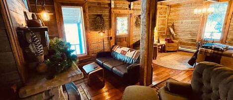 Smart TV, fireplace, books