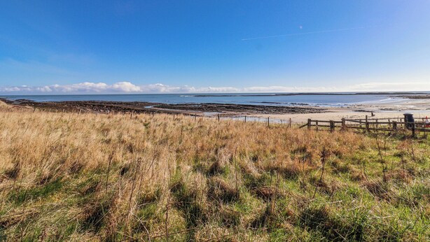 Un paysage côtier caractérisé par un ciel dégagé, un terrain herbeux et une plage de sable.