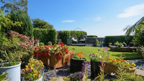 A garden with various potted plants and flowers, a wooden bench, and a clear blue sky. - Mossyford Cottage (Alnwick)