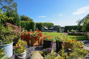 Property grounds - Mossyford Cottage (Alnwick)