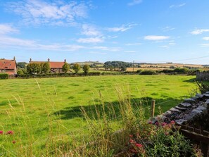 A rural landscape with a stone wall, a grassy field, and a few buildings in the distance. - Links View (Alnwick)