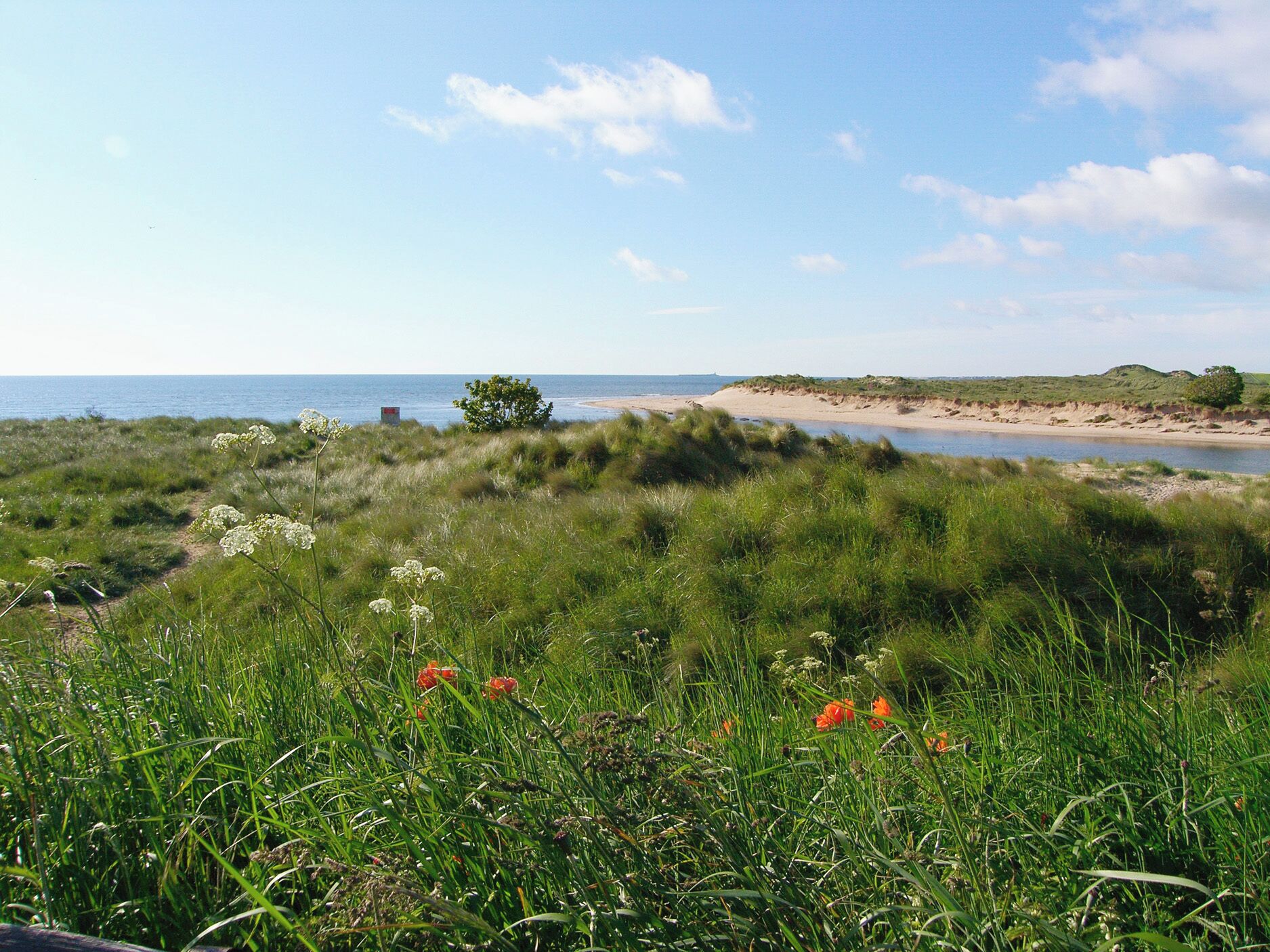 Een kustlandschap met grasvelden, een zandstrand en een heldere lucht.