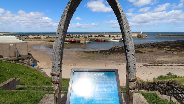 Une vue sur la côte, avec une mâchoire de baleine exposée et un ciel dégagé.
