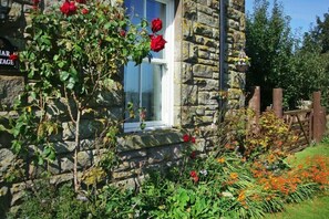 Property grounds - Briar Cottage (Cornhill on Tweed)
