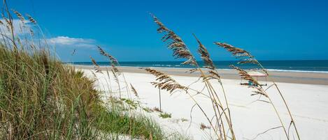 Maison (Array of Sunshine Beach House) | Extérieur