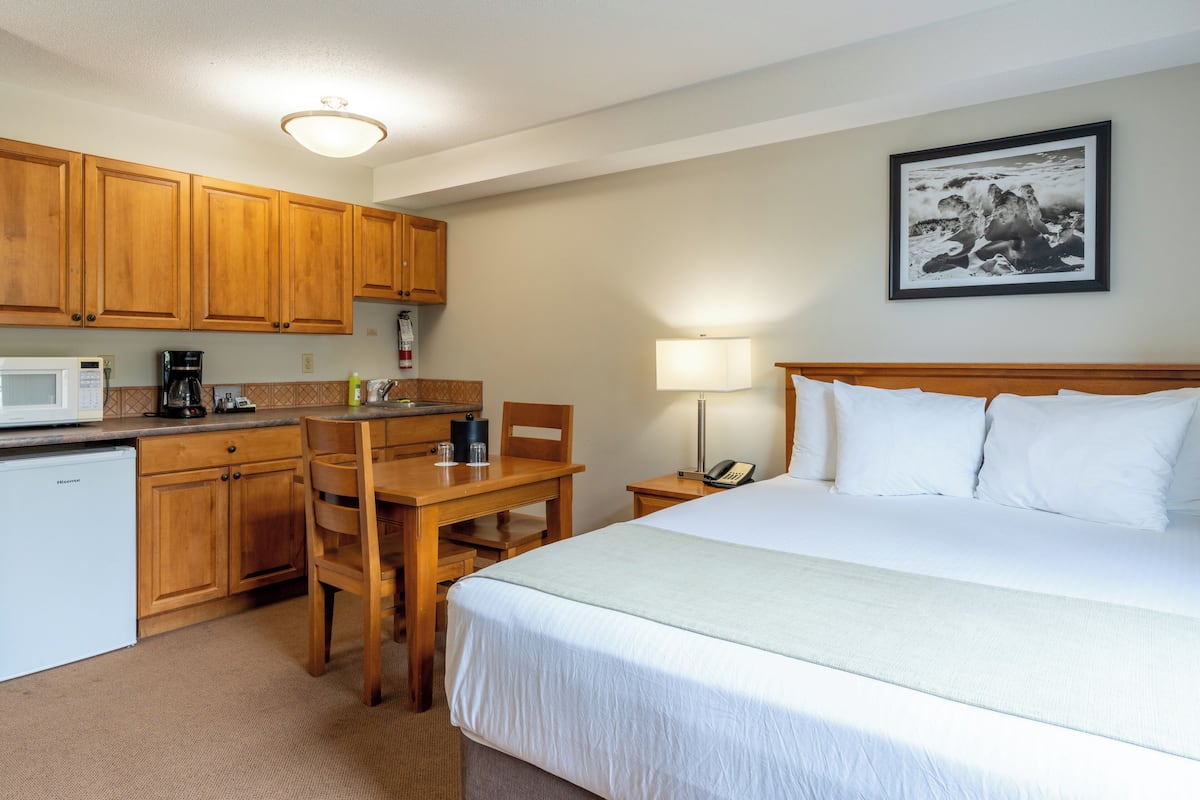 Studio supérieur | Literie hypoallergénique, rideaux d’obscurcissement