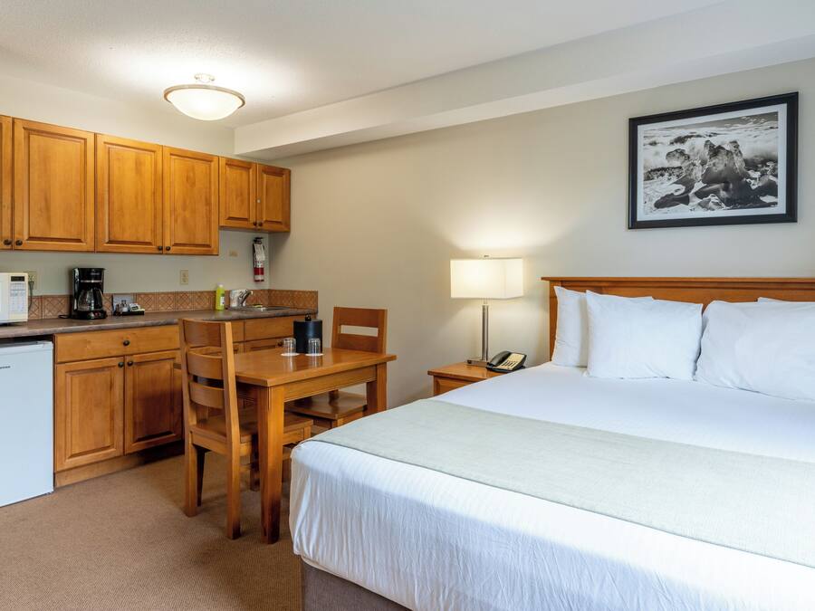 Studio Superior | Seprai antialergi, tirai kedap cahaya, dan setrika/meja setrika