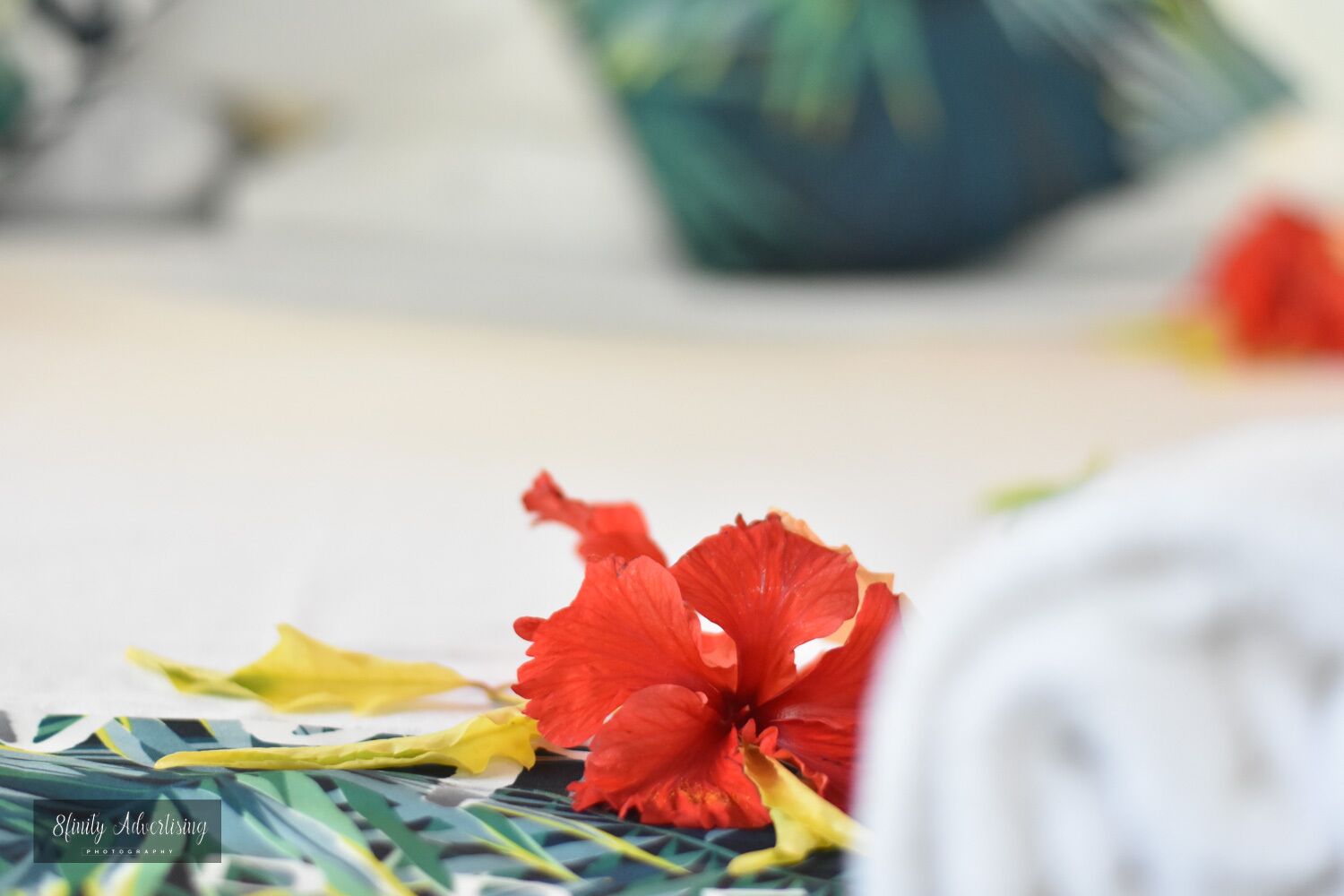 A close-up of a red hibiscus flower and some green leaves on a surface, with a blurred background.