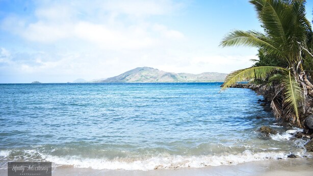A beach with clear blue water, a palm tree, and distant mountains. - Coralview Island Resort (Tavewa Island)