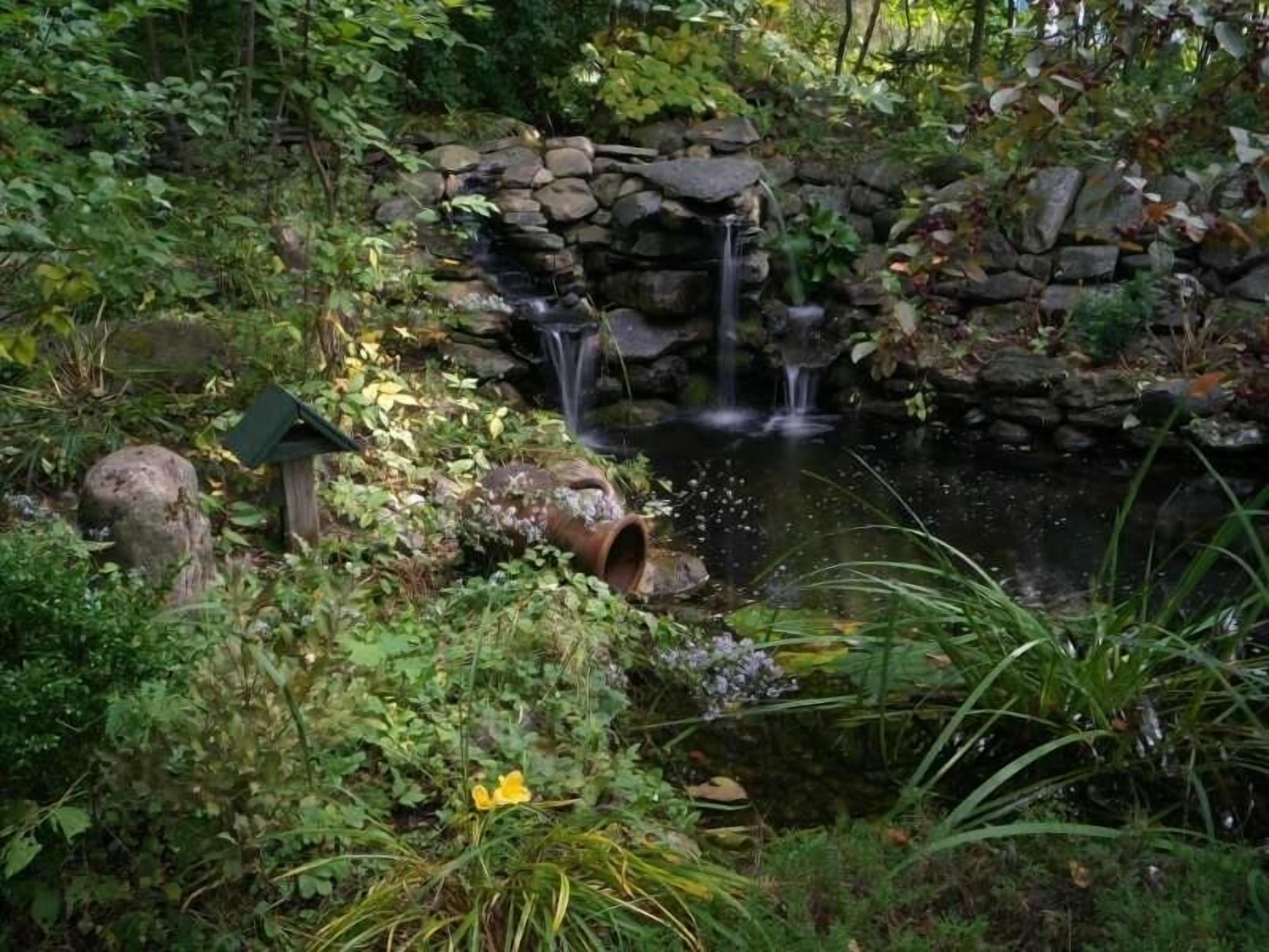 A garden with a pond, a stone wall, and a small waterfall.