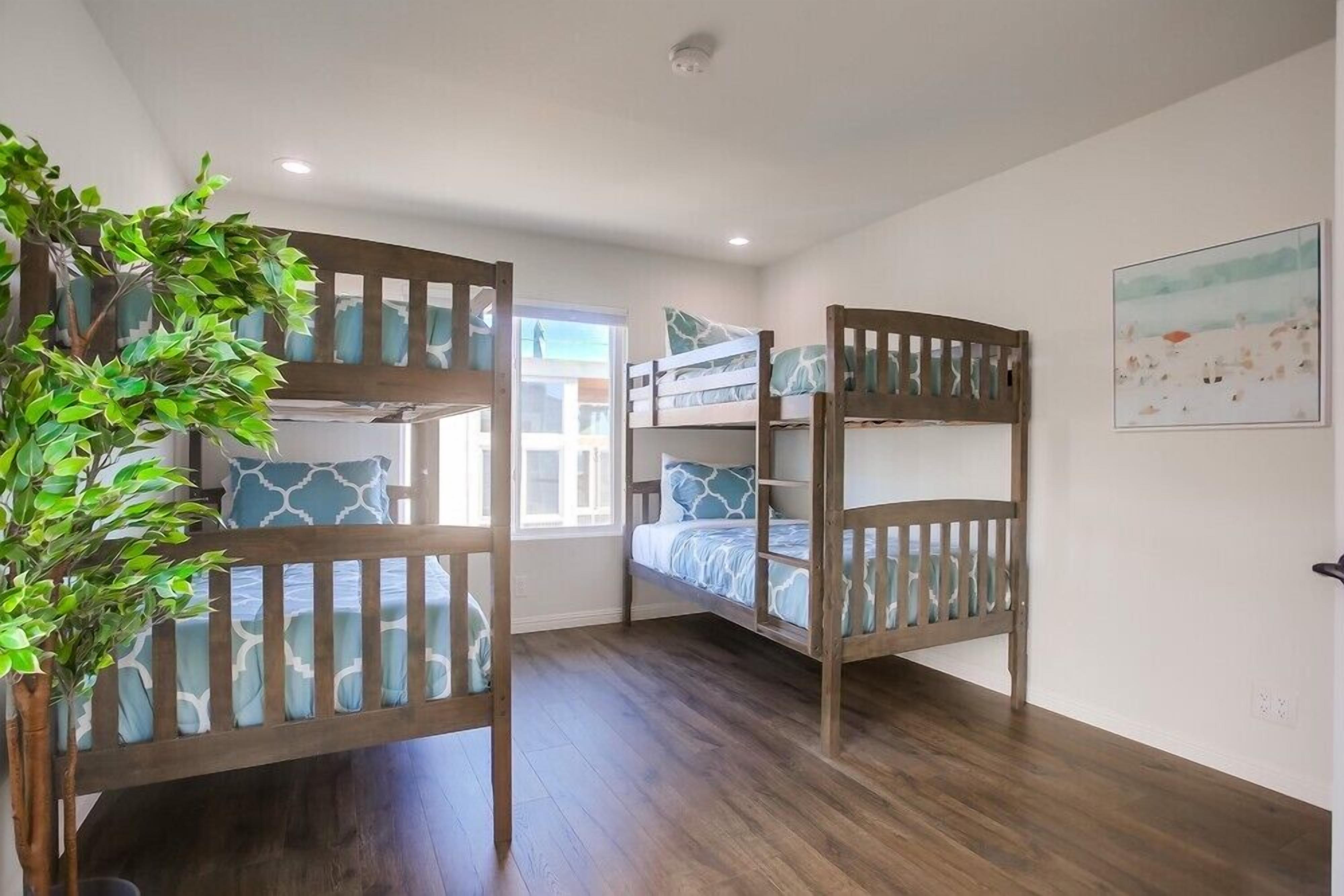 Une chambre avec deux lits superposés, une plante en pot et une fenêtre donnant sur un beau paysage.