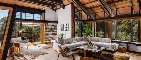 TV connectée, cheminée, livres, chaîne hi-fi