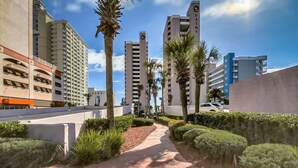 A pathway flanked by palm trees and well-maintained hedges, leading to modern high-rise buildings with balconies. - On the Beach w/Direct Ocean Views & Beach Access within steps! RENOVATED (Myrtle Beach)