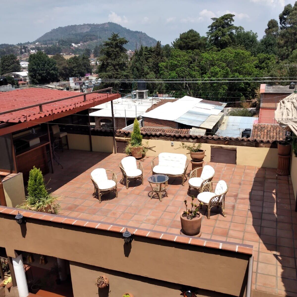 Una terraza en la azotea con mobiliario de mimbre y plantas en macetas, con vistas a un barrio residencial y colinas al fondo.