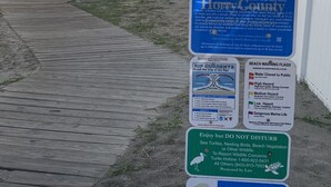A beach access sign with multiple informational boards, including beach ordinances, rip currents, and turtle protection notices. - Steps Away From Garden City Pier And Beach! (Murrells Inlet)
