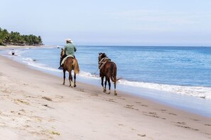 Beach nearby, sun loungers