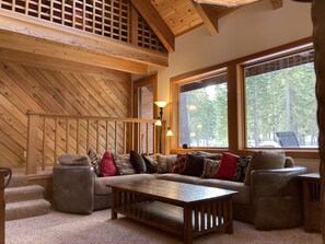 TV, fireplace, books