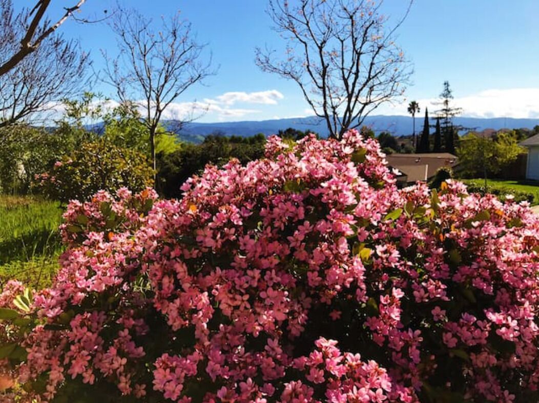 Quite guest-unit on a hilltop, an ideal longterm