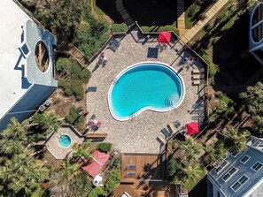 Leilighet, 2 queensize-senger (HIB-A201 Direct Ocean Front 3 Pools F) | Basseng | Et oppvarmet basseng