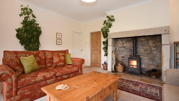 A cozy living room with a sofa, coffee table, fireplace, and potted plants. - Dunrovin (Chathill)