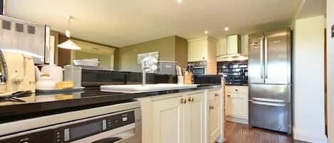 Fridge, dishwasher, cookware/dishes/utensils
