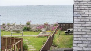 Vista de un jardín con cerca de madera, un banco y una mesa de picnic.
