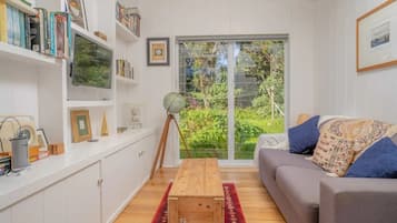 TV connectée, cheminée, livres