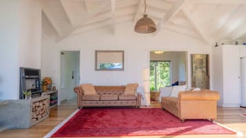 Älytelevisio, takka, kirjoja