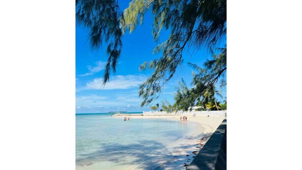 Una playa con agua cristalina, orilla arenosa y palmeras.