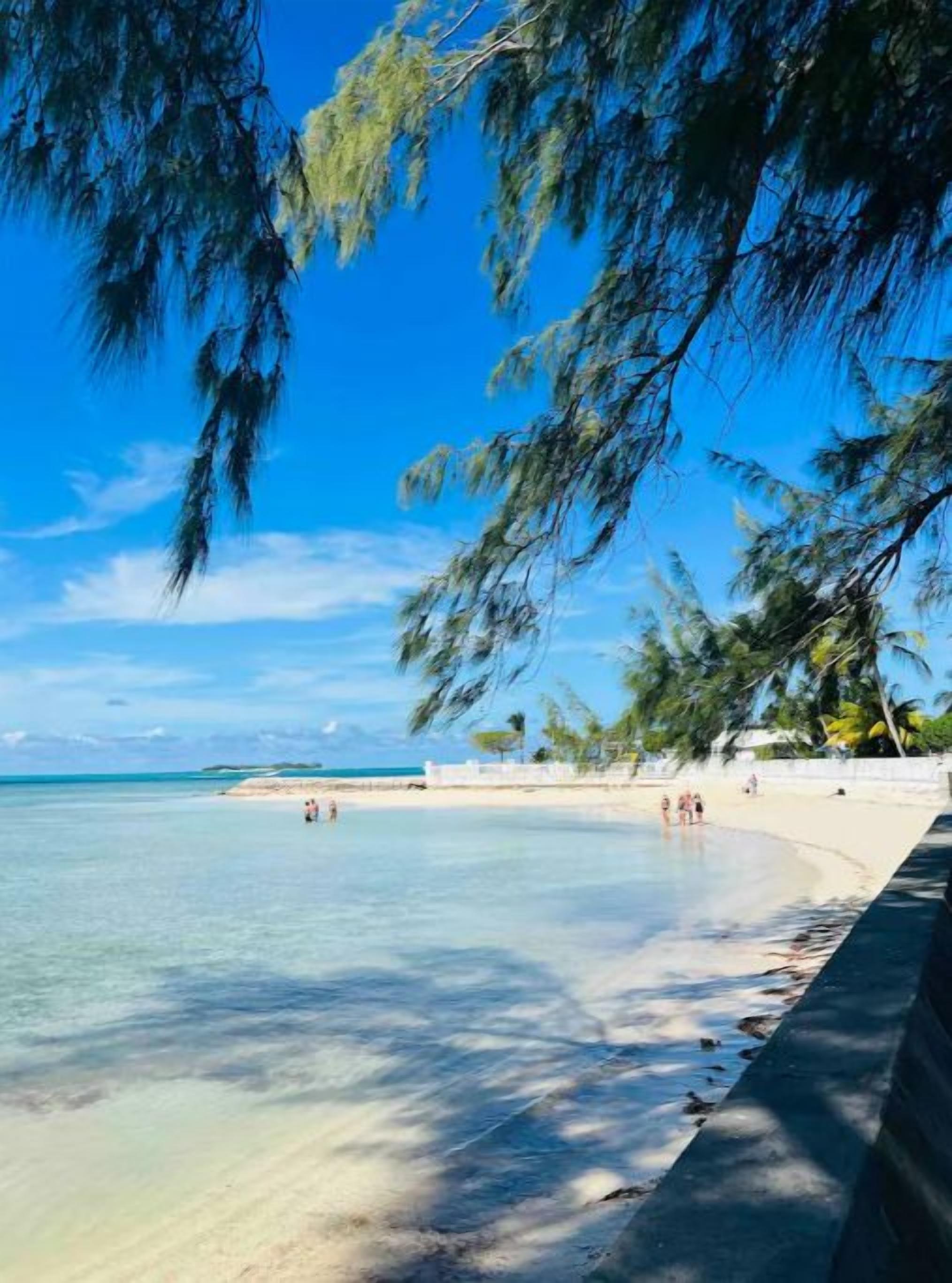 A beach with clear water, a sandy shore, and palm trees.
