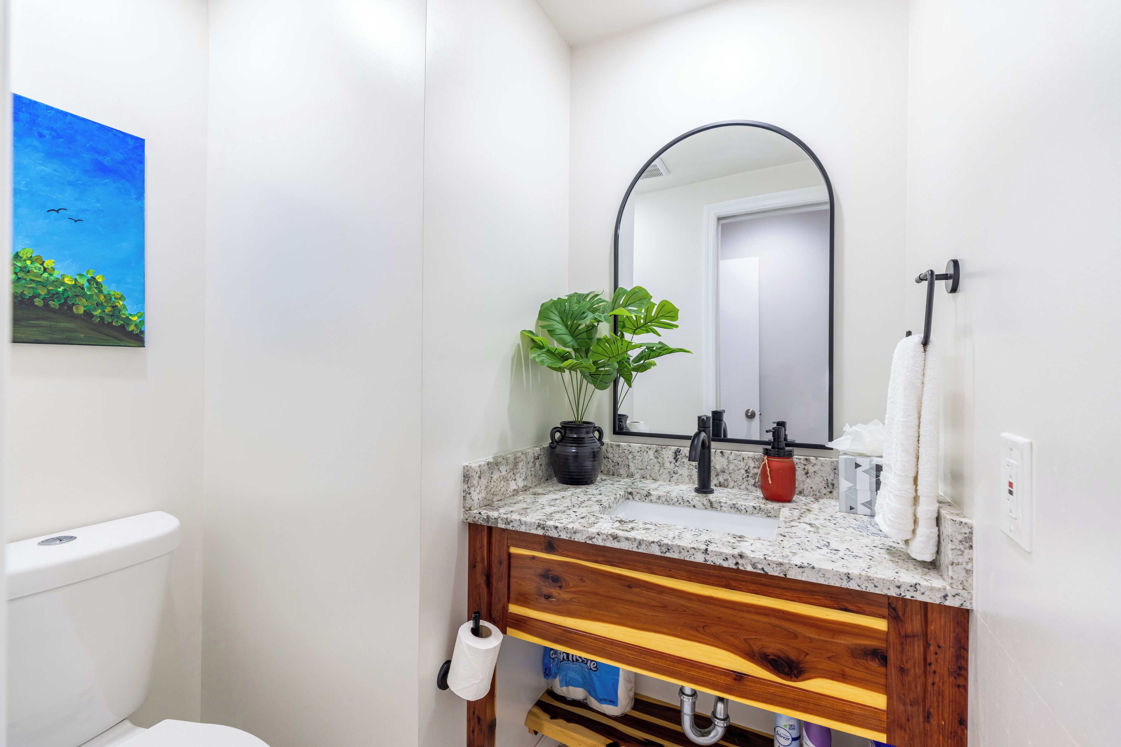 Une salle de bain avec des toilettes blanches, un lavabo avec un miroir au-dessus, une plante en pot et un porte-serviettes.