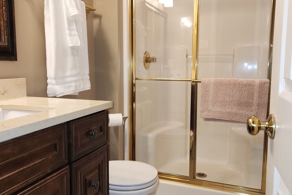 Combined shower/tub, hair dryer, towels, soap